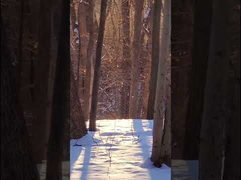 Reason #19 why gamers prefer to enjoy the Great Outdoors thru a window